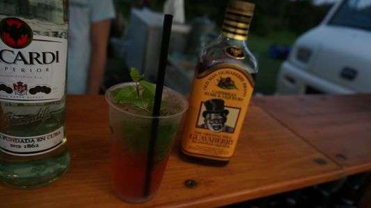 Summer Sonic 2013 - ピンクモヒート