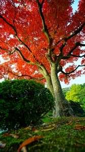 20161120講師と行く　清澄の公園編　