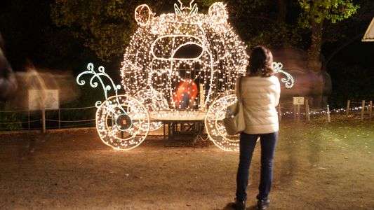 11月に行って来ました足利のイルミネーション