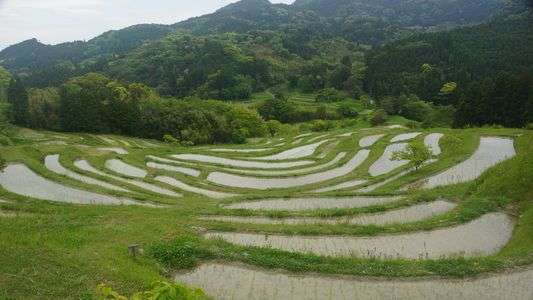 千葉県 大山千枚田