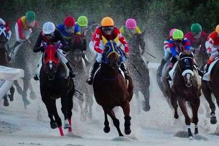 大井競馬場にて