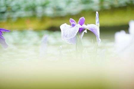 サークルGasha!撮影会