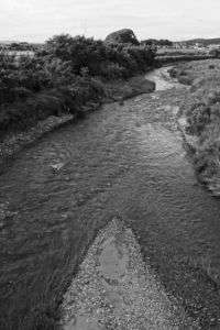 モノトーンの五百川