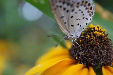 ちょいと一休み…