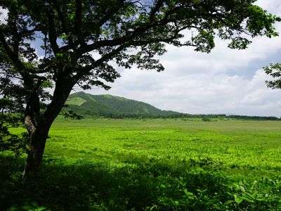 湿原ハイキング