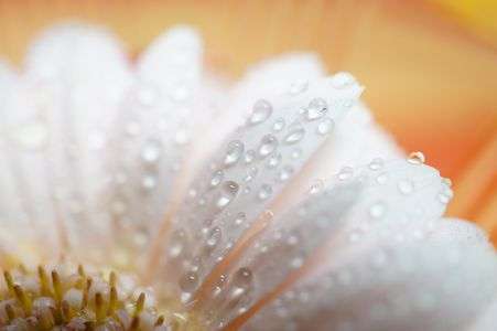 一粒ひとつぶ･･･