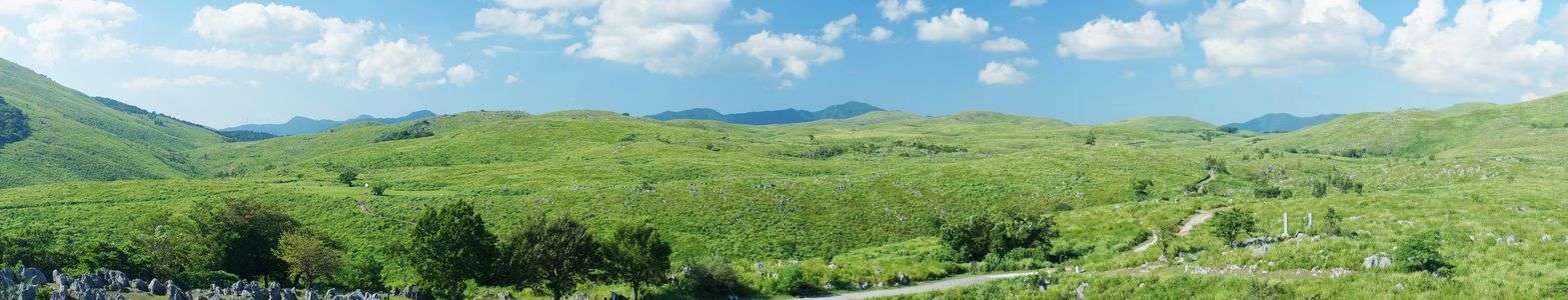 秋吉台　カルスト台地