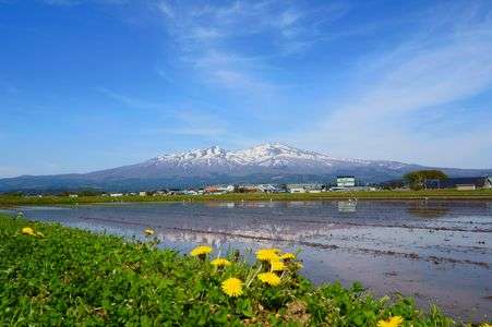 春の鳥海山
