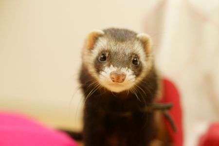 何撮ってんのよ