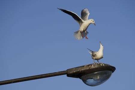 ちょっと、そこどいて！