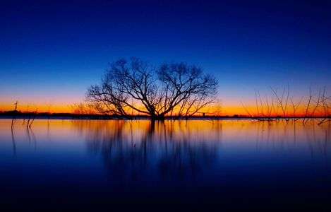 渡良瀬遊水地の冬の朝　2018 1 2