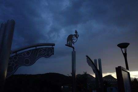 嵐の過ぎ去りを待つ尾長鶏