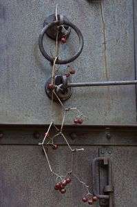 鉄の扉に木の実の図