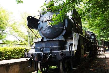 世田谷公園のＤ－５１