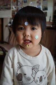 シールブーム。