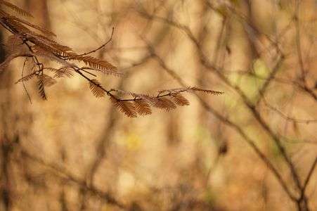 また”冬”が来た．．．