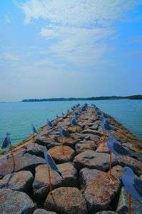 カモメの駐車場