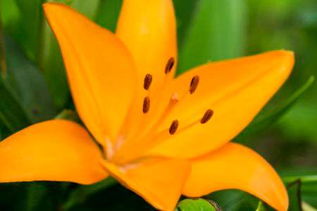 太陽のゆりゆり