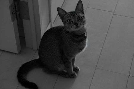 たまたま・・・