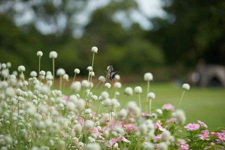 やわらかな時間