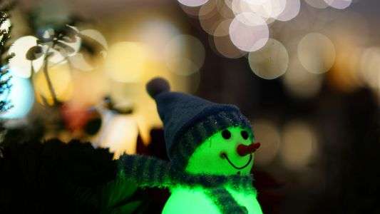 特別体験会【丸の内仲通り煌めき散策】