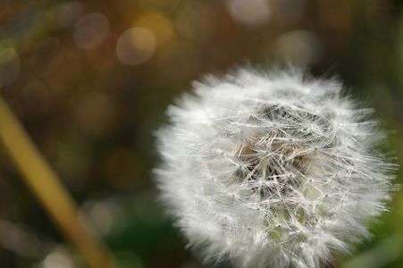 季節はずれの。