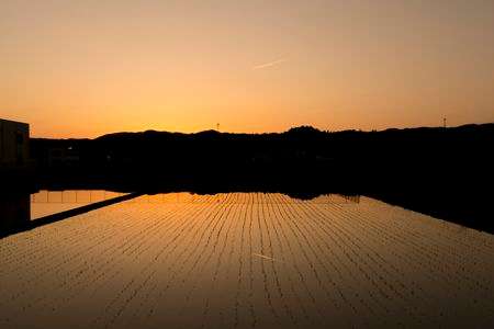 夕焼けと飛行機雲