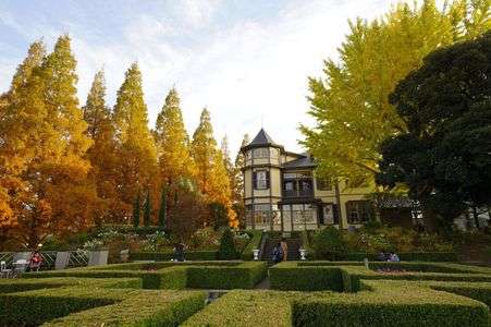 異国情緒ありな黄葉