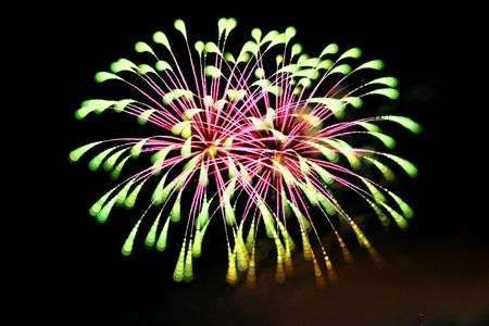 万博公園・芸術花火