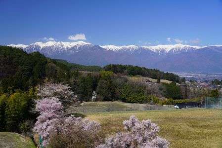 長野の春④