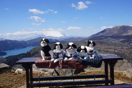 さとちんファミリーFOREVER