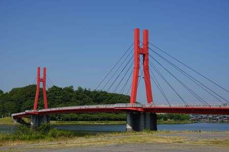 北潟湖畔花菖蒲園まつり