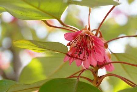 春の陽を浴びて