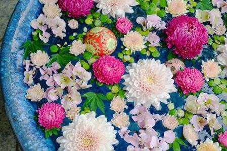 手水場自粛　～花手水～