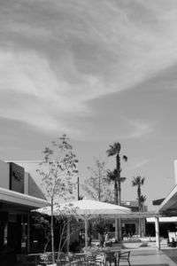 モノクロの味？