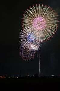 刈谷わんさか祭り