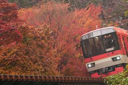 叡電を彩る秋