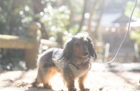 暖かい日差しに包まれて