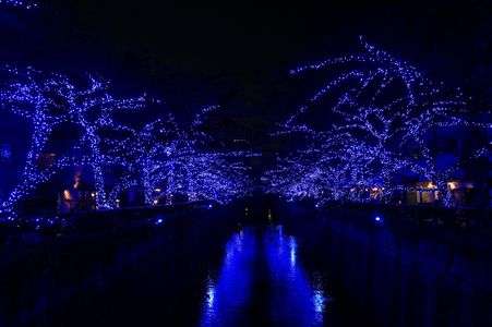 目黒川イルミネーション