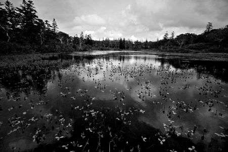 ニセコの神仙沼