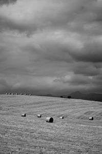 北海道、牧草ロール