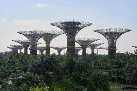 シンガポールの自然