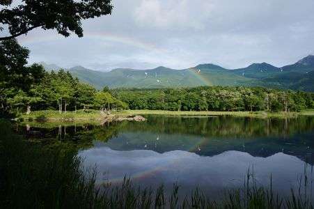 とおり雨の贈り物