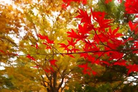「image of autumn」