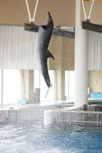 たかく、たかく!!