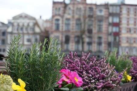 アムステルダム 彩色三景