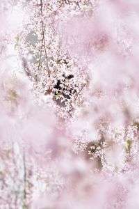 こっちむいて、ダーリン♡