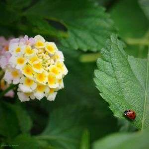 よいしょ♪よいしょ♪あとすこし♪