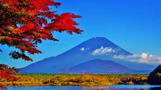 富士山～紅葉～