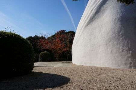 振り返るとそこに。。